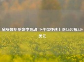 黛安娜船舶盘中异动 下午盘快速上涨5.05%报2.29美元