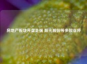 房地产板块开盘走强 阳光股份等多股涨停