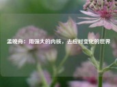 孟晚舟：用强大的内核，去应对变化的世界