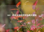 IMF：未来全球经济存在两大担忧