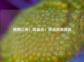 刚刚公布！证监会：依法实施接管