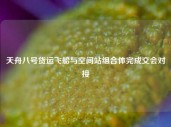 天舟八号货运飞船与空间站组合体完成交会对接