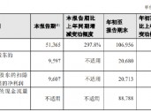 新华保险：前三季度实现归母净利润206.8亿元 同比增长116.7%