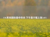 CSG系统国际盘中异动 下午盘大幅上涨5.01%