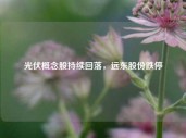 光伏概念股持续回落，远东股份跌停