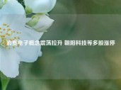 消费电子概念震荡拉升 朝阳科技等多股涨停