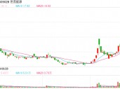 世茂能源跨界并购告吹 但这些问题必须搞清楚