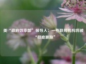 美“政府效率部”领导人：一些联邦机构将被“彻底删除”