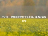 任正非：我创业就是为了活下来，华为还在挣扎中