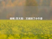 视频|李大霄：又闻到了小牛香