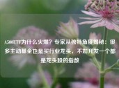 A500ETF为什么火爆？专家从独特角度揭秘：很多主动基金也是买行业龙头，不如开发一个都是龙头股的指数