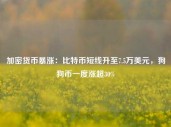 加密货币暴涨：比特币短线升至7.5万美元，狗狗币一度涨超30%