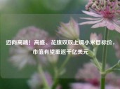 迈向高端！高盛、花旗双双上调小米目标价，市值有望重返千亿美元