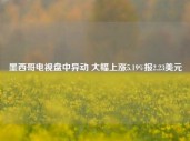 墨西哥电视盘中异动 大幅上涨5.19%报2.23美元