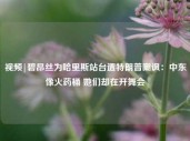 视频|碧昂丝为哈里斯站台遭特朗普嘲讽：中东像火药桶 她们却在开舞会