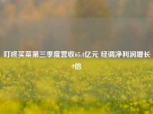 叮咚买菜第三季度营收65.4亿元 经调净利润增长9倍