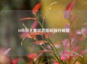 10月份主要经济指标回升明显