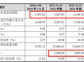 胜科纳米IPO：2年分红1.1亿，实控人却负债1亿