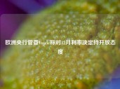 欧洲央行管委Vujcic称对12月利率决定持开放态度