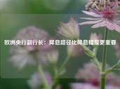 欧洲央行副行长：降息路径比降息幅度更重要