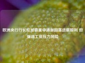 欧洲央行行长拉加德重申通胀回落进展顺利 但强调工资压力风险