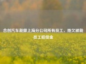 合创汽车裁撤上海分公司所有员工，拖欠被裁员工赔偿金