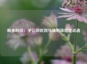 极米科技：子公司收到马瑞利项目定点函