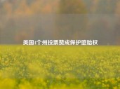 美国4个州投票赞成保护堕胎权