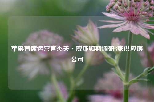 苹果首席运营官杰夫·威廉姆斯调研3家供应链公司