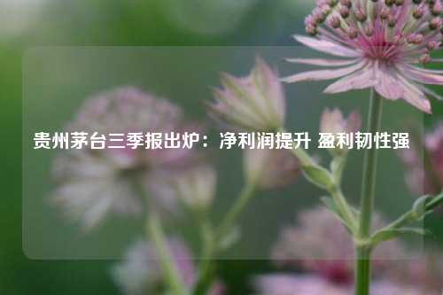 贵州茅台三季报出炉：净利润提升 盈利韧性强