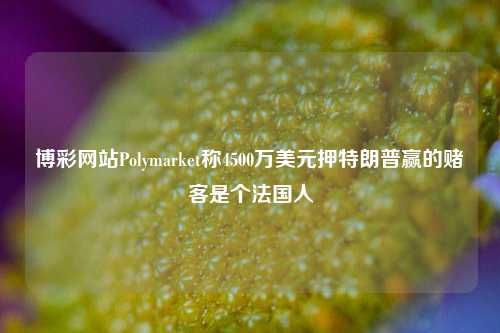 博彩网站Polymarket称4500万美元押特朗普赢的赌客是个法国人