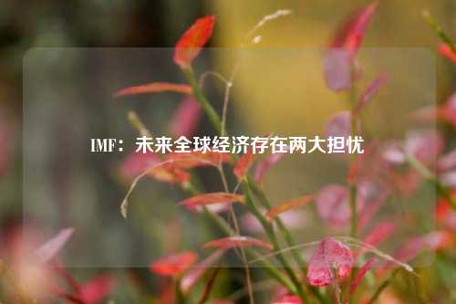 IMF：未来全球经济存在两大担忧