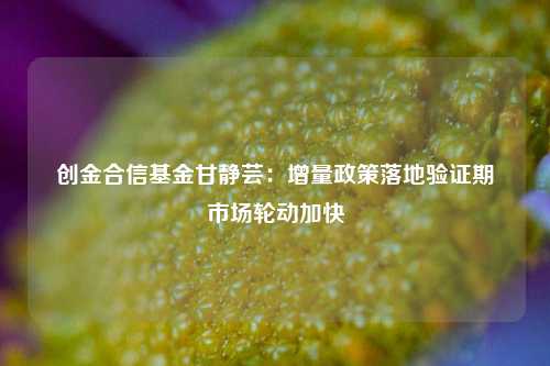 创金合信基金甘静芸：增量政策落地验证期 市场轮动加快