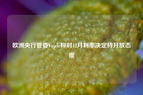 欧洲央行管委Vujcic称对12月利率决定持开放态度