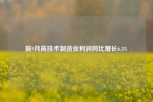 前9月高技术制造业利润同比增长6.3%