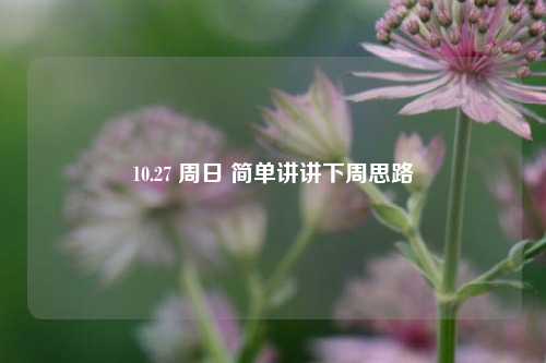 10.27 周日 简单讲讲下周思路