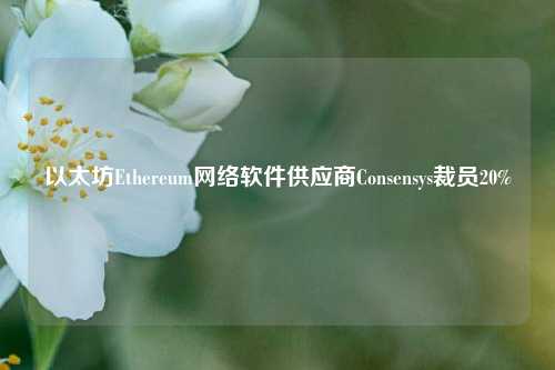 以太坊Ethereum网络软件供应商Consensys裁员20%