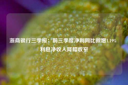 浙商银行三季报：前三季度净利同比微增1.19% 利息净收入降幅收窄