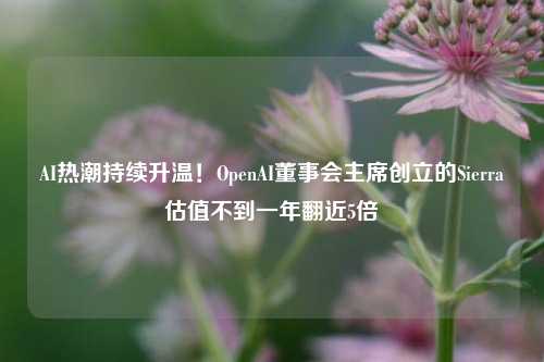 AI热潮持续升温！OpenAI董事会主席创立的Sierra估值不到一年翻近5倍