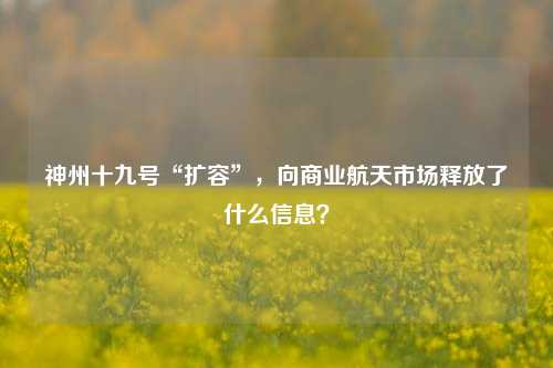 神州十九号“扩容”，向商业航天市场释放了什么信息？