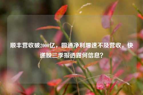 顺丰营收破2000亿，圆通净利增速不及营收，快递股三季报透露何信息？