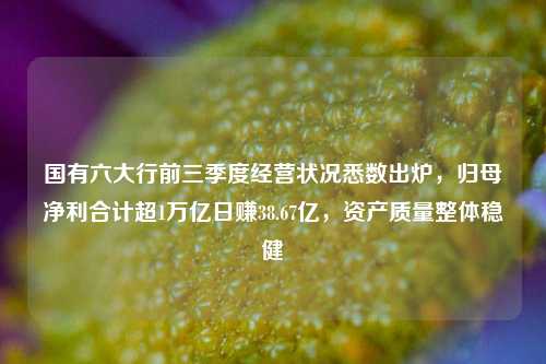 国有六大行前三季度经营状况悉数出炉，归母净利合计超1万亿日赚38.67亿，资产质量整体稳健