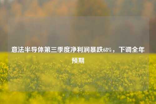 意法半导体第三季度净利润暴跌68%，下调全年预期