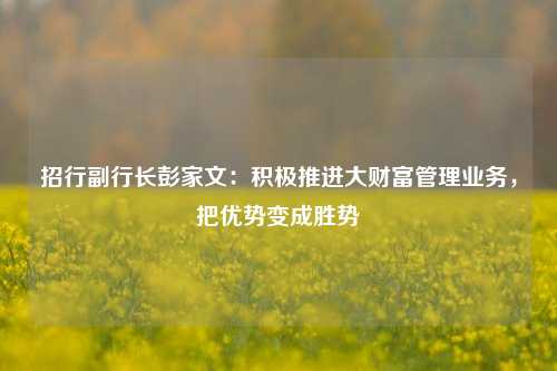 招行副行长彭家文：积极推进大财富管理业务，把优势变成胜势