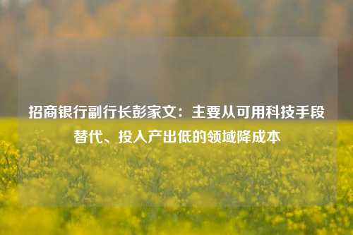 招商银行副行长彭家文：主要从可用科技手段替代、投入产出低的领域降成本