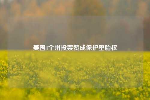 美国4个州投票赞成保护堕胎权