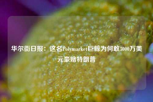 华尔街日报：这名Polymarket巨鲸为何敢3000万美元豪赌特朗普