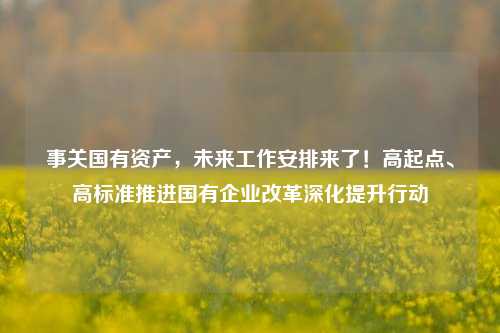 事关国有资产，未来工作安排来了！高起点、高标准推进国有企业改革深化提升行动