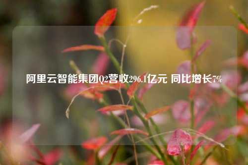 阿里云智能集团Q2营收296.1亿元 同比增长7%