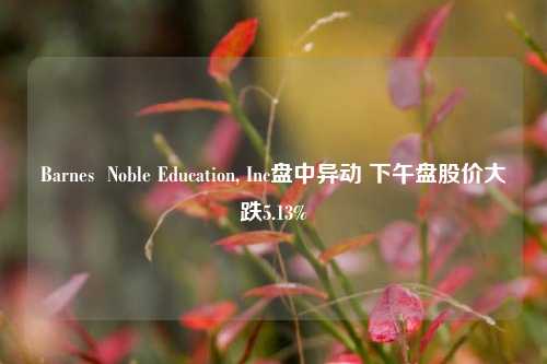 Barnes  Noble Education, Inc盘中异动 下午盘股价大跌5.13%